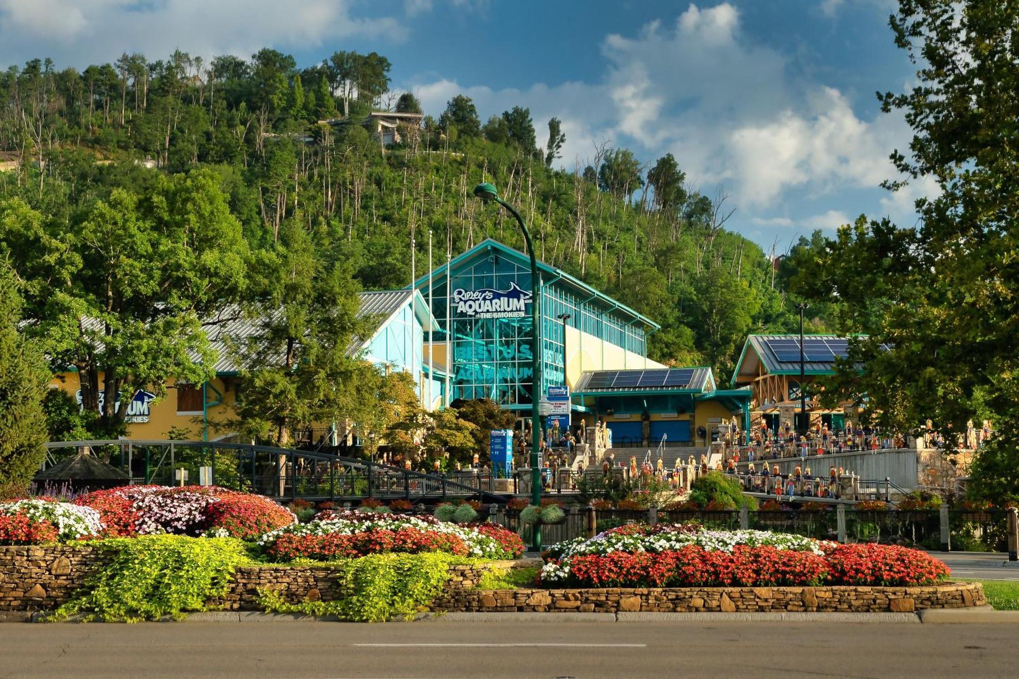 Вилла Romance In The Smokies By Distinctive Getaways Гатлинбург Экстерьер фото